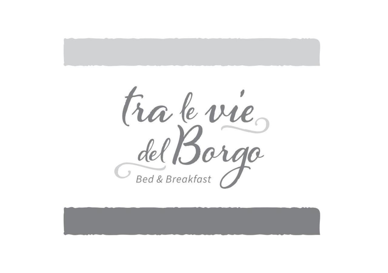 B&B Tra Le Vie Del Borgo Vieste Exteriér fotografie